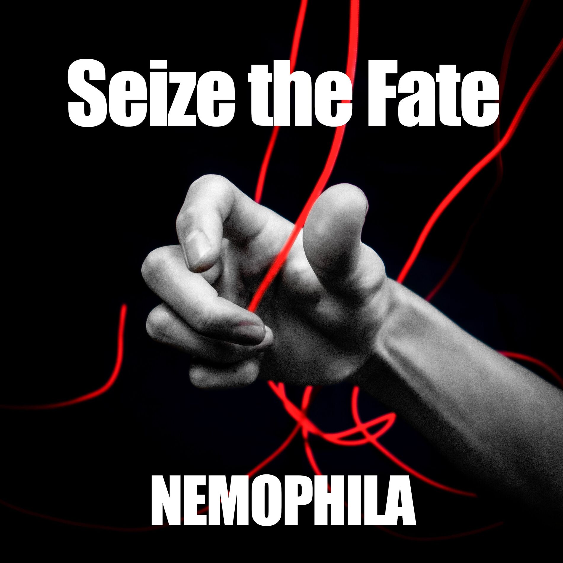 Album cover of Seize the Fate