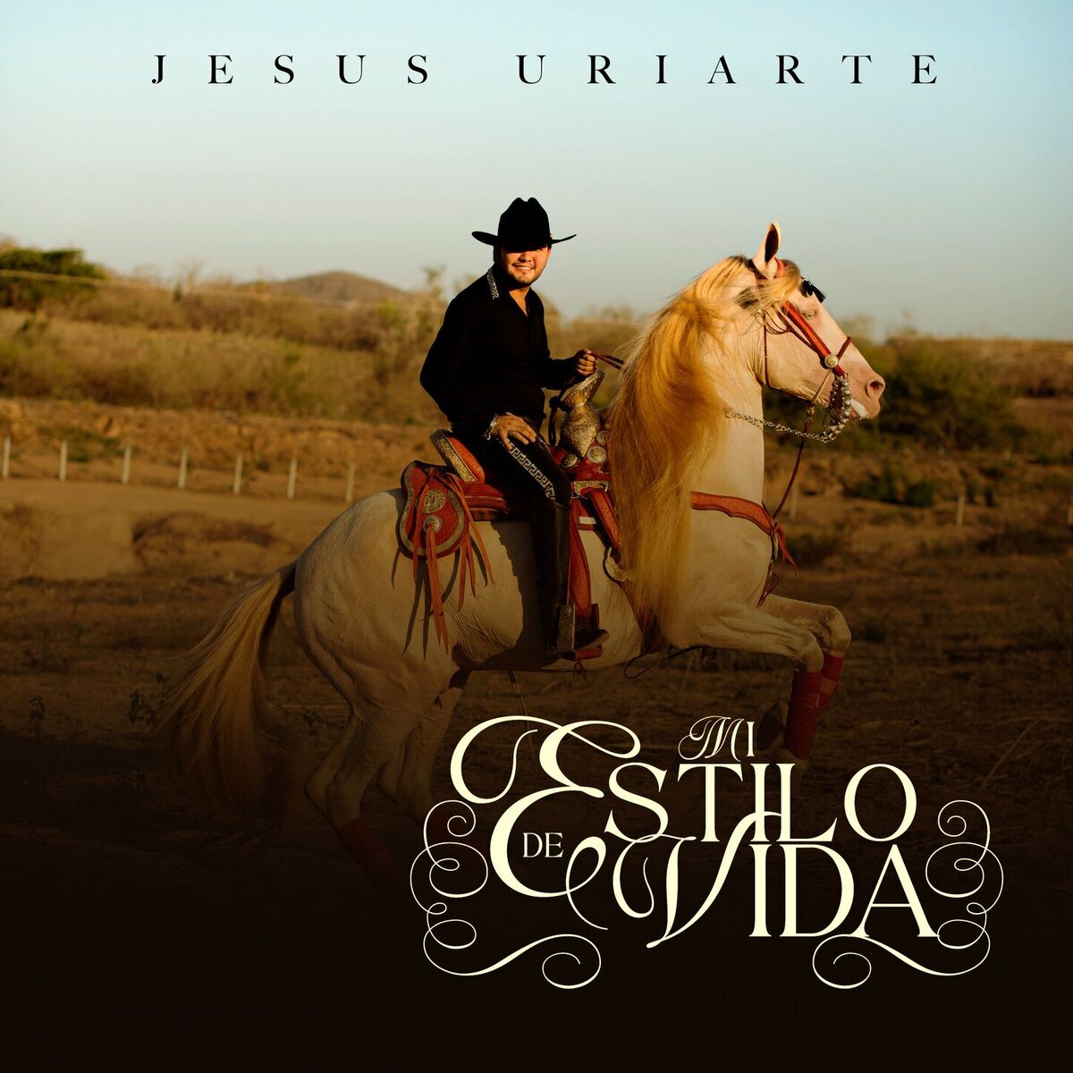Album cover of Mi Estilo De Vida