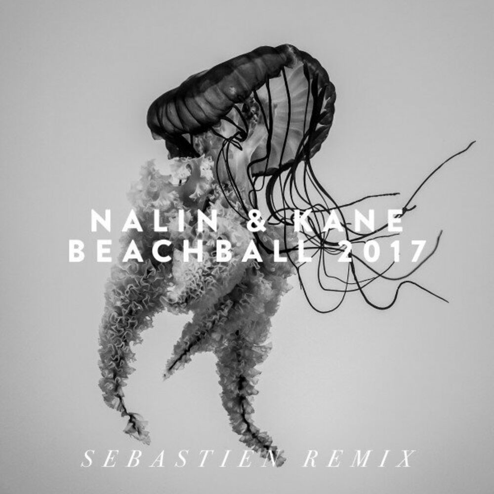 Picture of Beachball 2017 (Sebastien Remix)