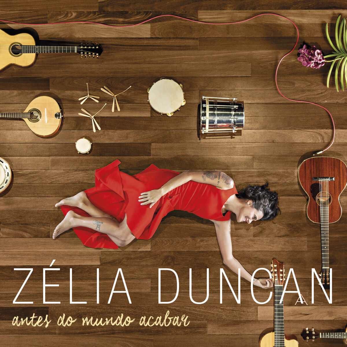 Album cover of No Meu País