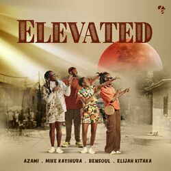 Cover of Elevated
