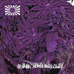Cover of TIMELESS