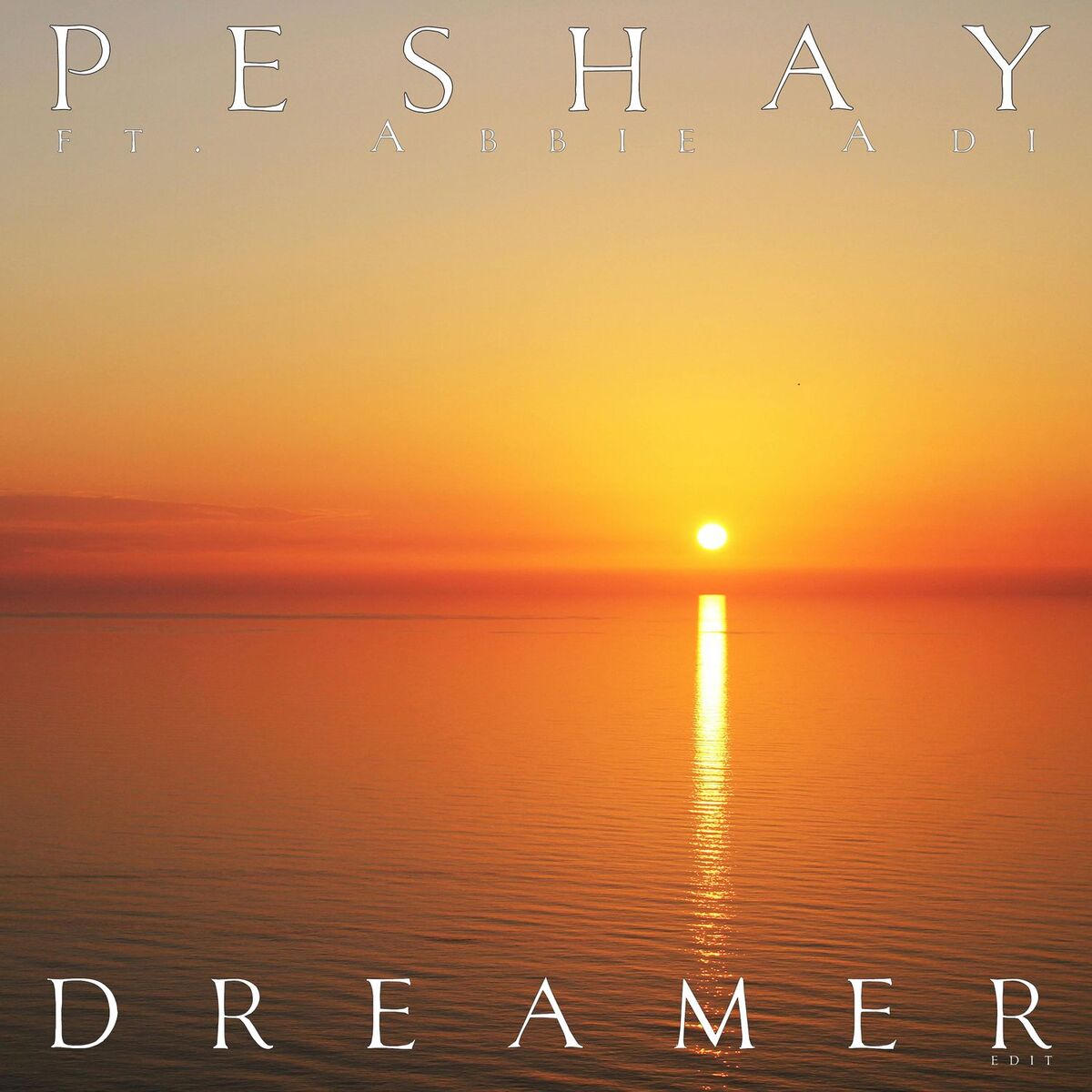 Album cover of Dreamer (Short Edit)