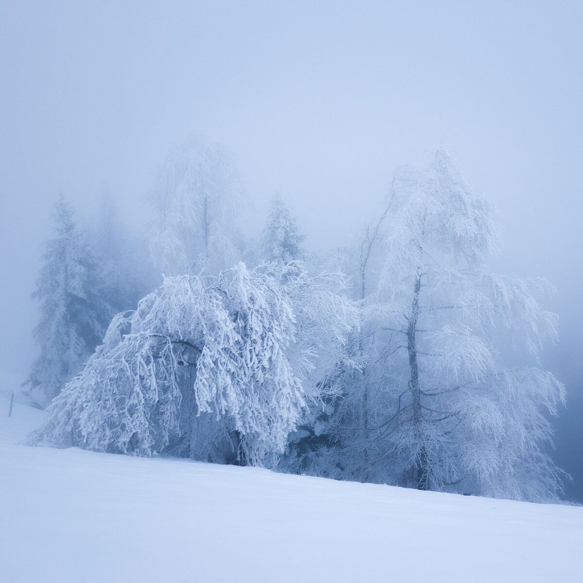 Album cover of Winter Solace