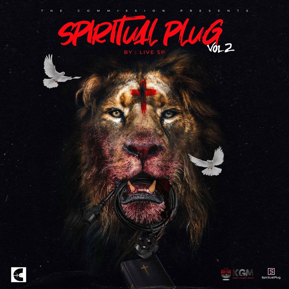 Album cover of Spiritual Plug, Vol. 2