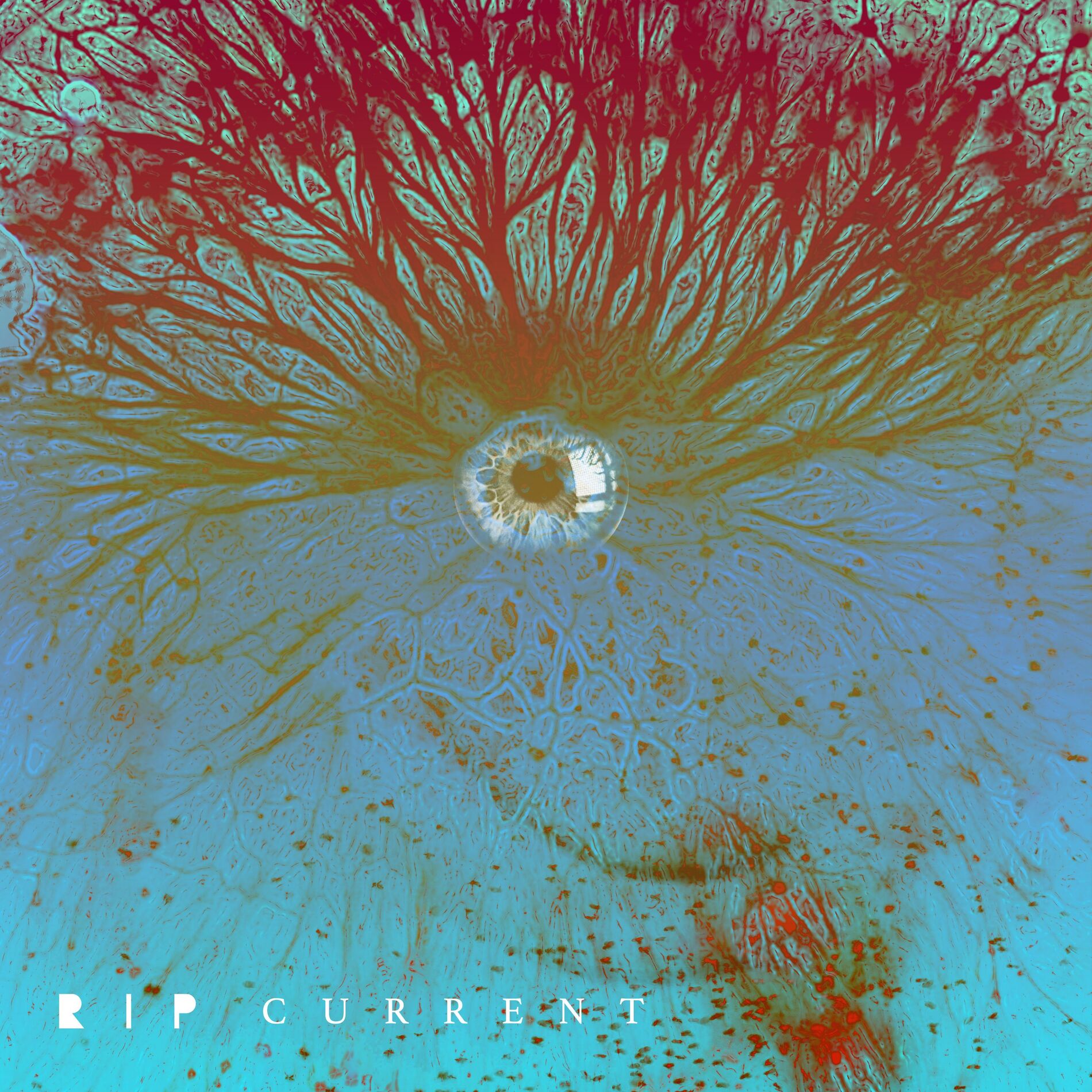 Album cover of Rip Current