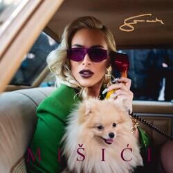 music cover