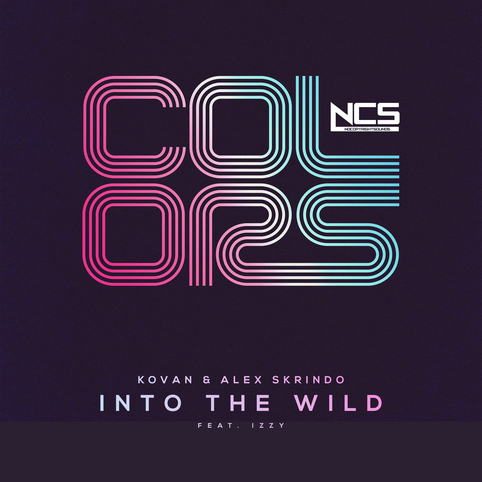 Album cover of Into The Wild