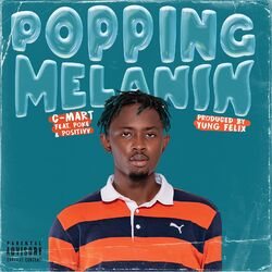 Cover of Popping Melanin