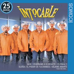 Cover of Íconos 25 Éxitos