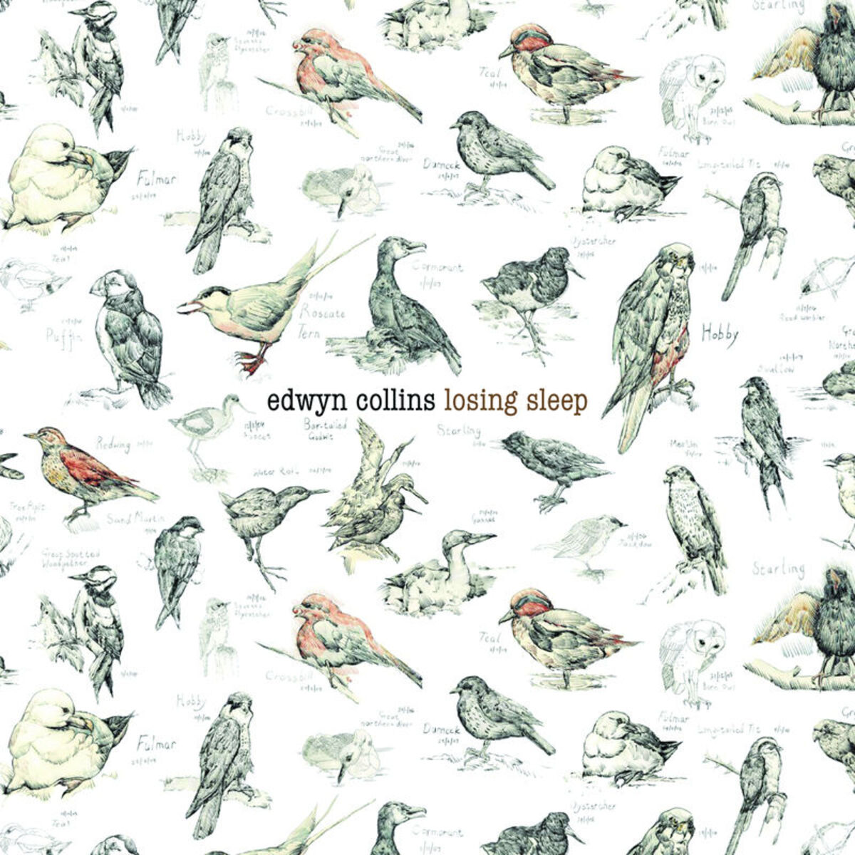 Album cover of Losing Sleep