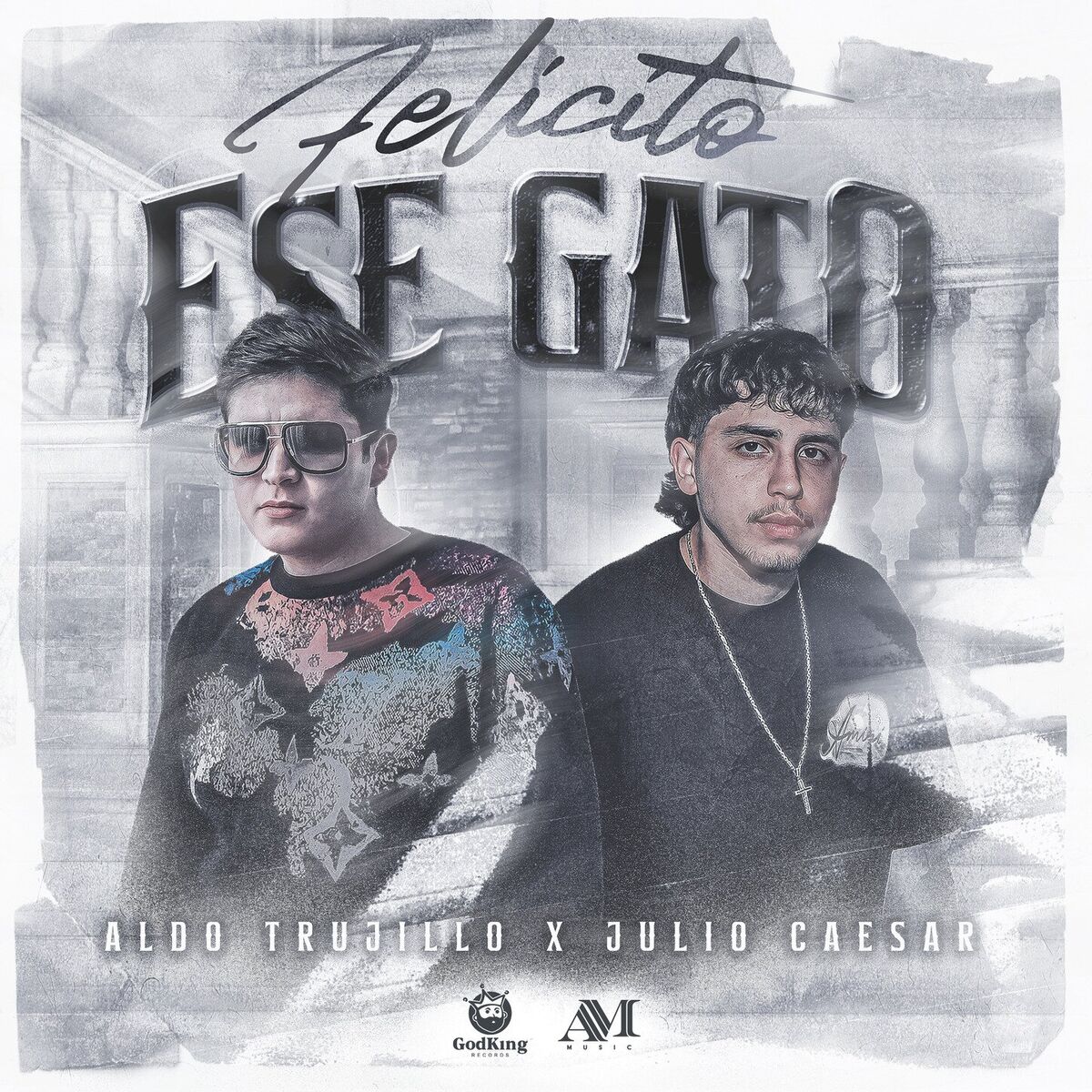 Album cover of Felicito a Ese Gato