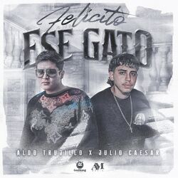 Cover of Felicito a Ese Gato