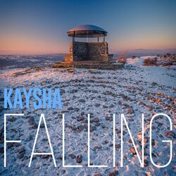 Cover of Falling