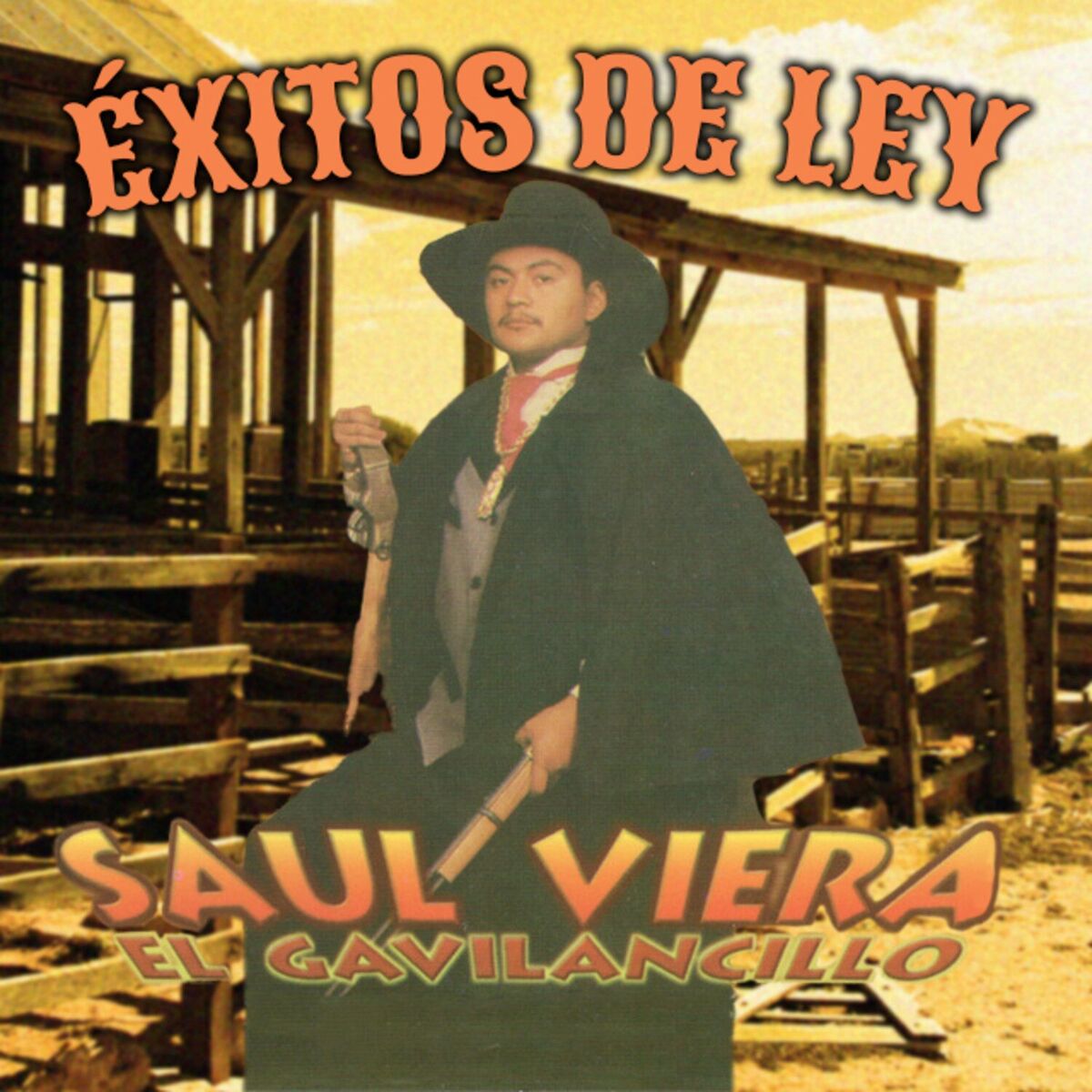 Album cover of Éxitos de Ley