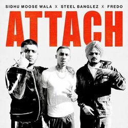 Cover of Attach