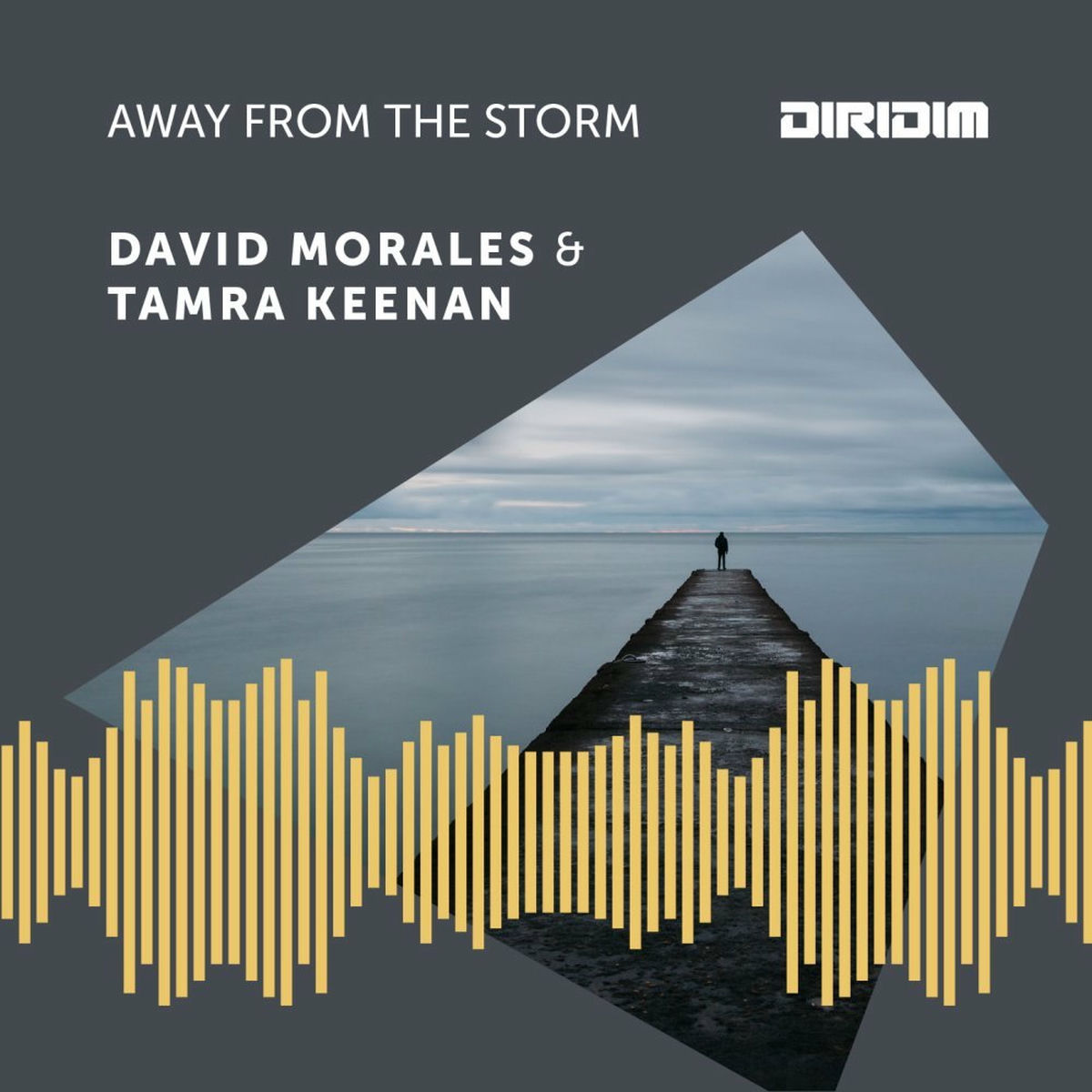 Album cover of Away from the Storm