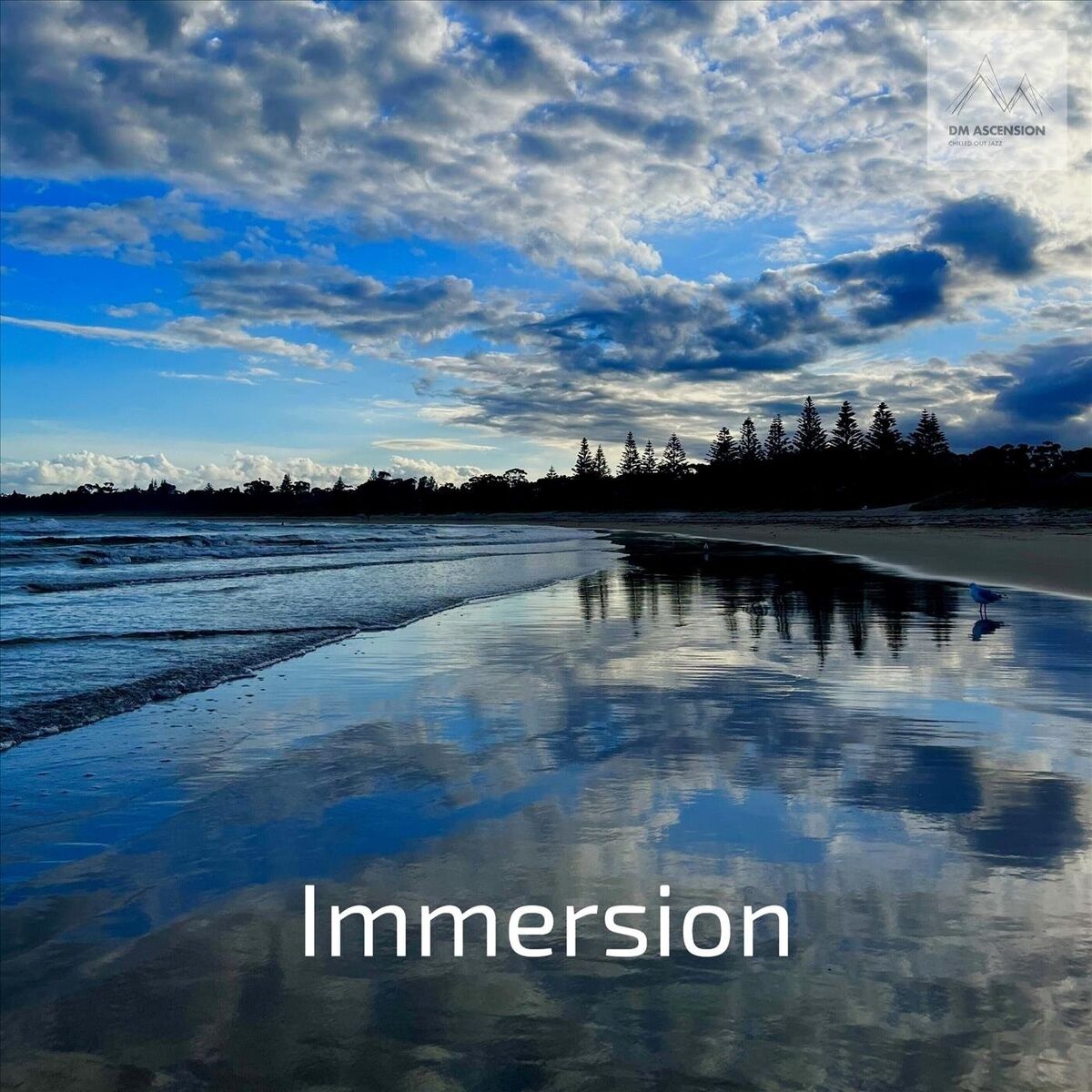 Album cover of Immersion