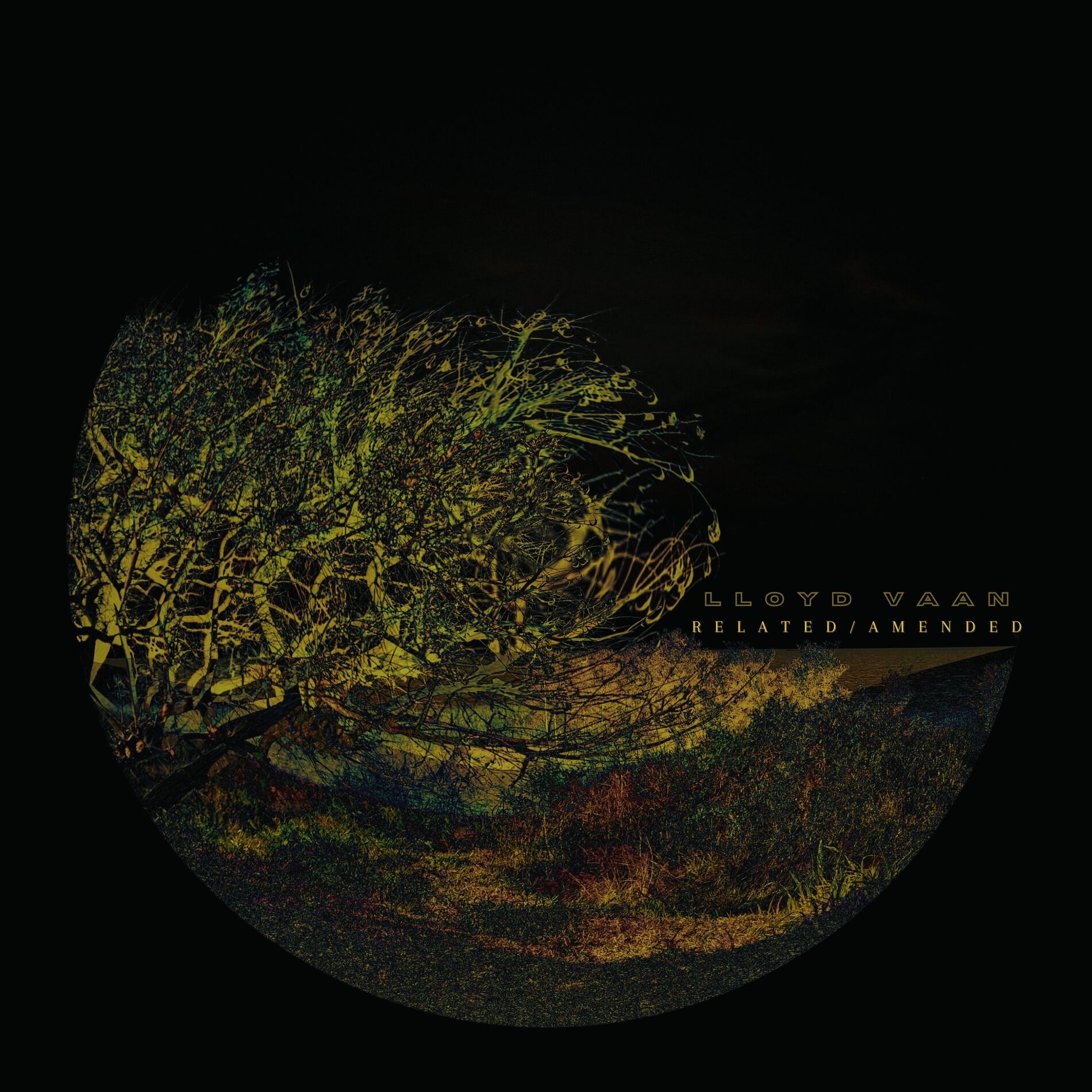 Album cover of Related