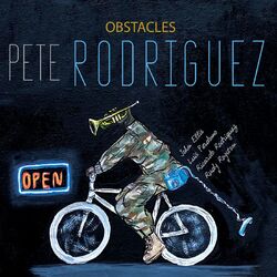 Cover of Obstacles