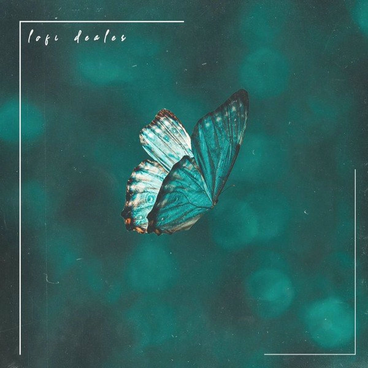 Album cover of Butterfly