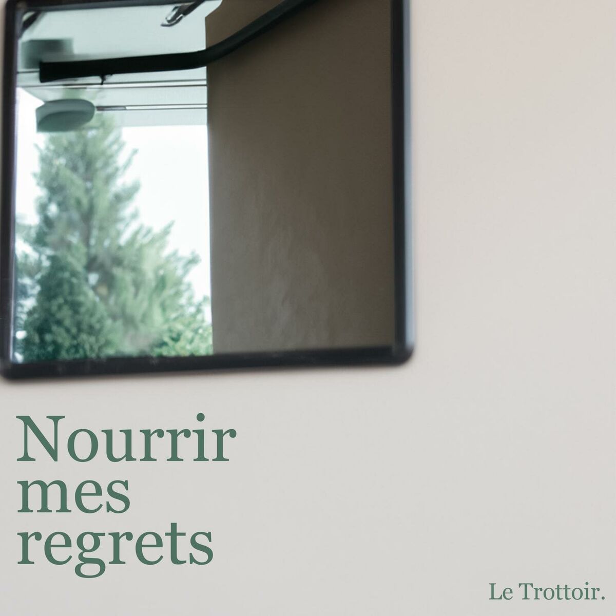 Album cover of Nourrir mes regrets