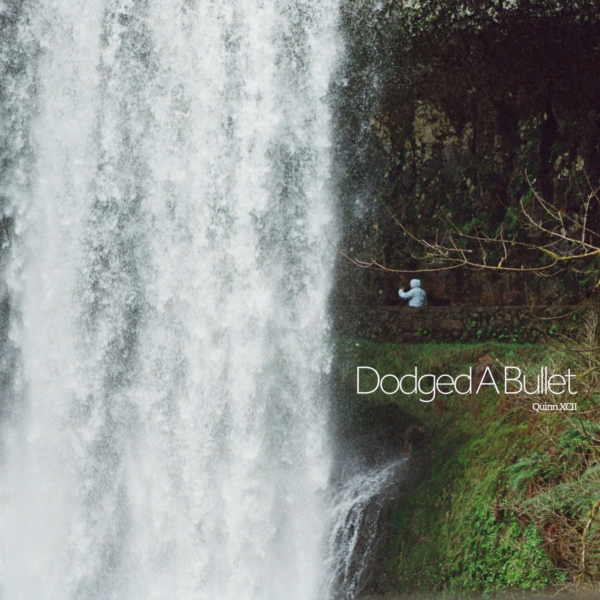 Album cover of Dodged A Bullet