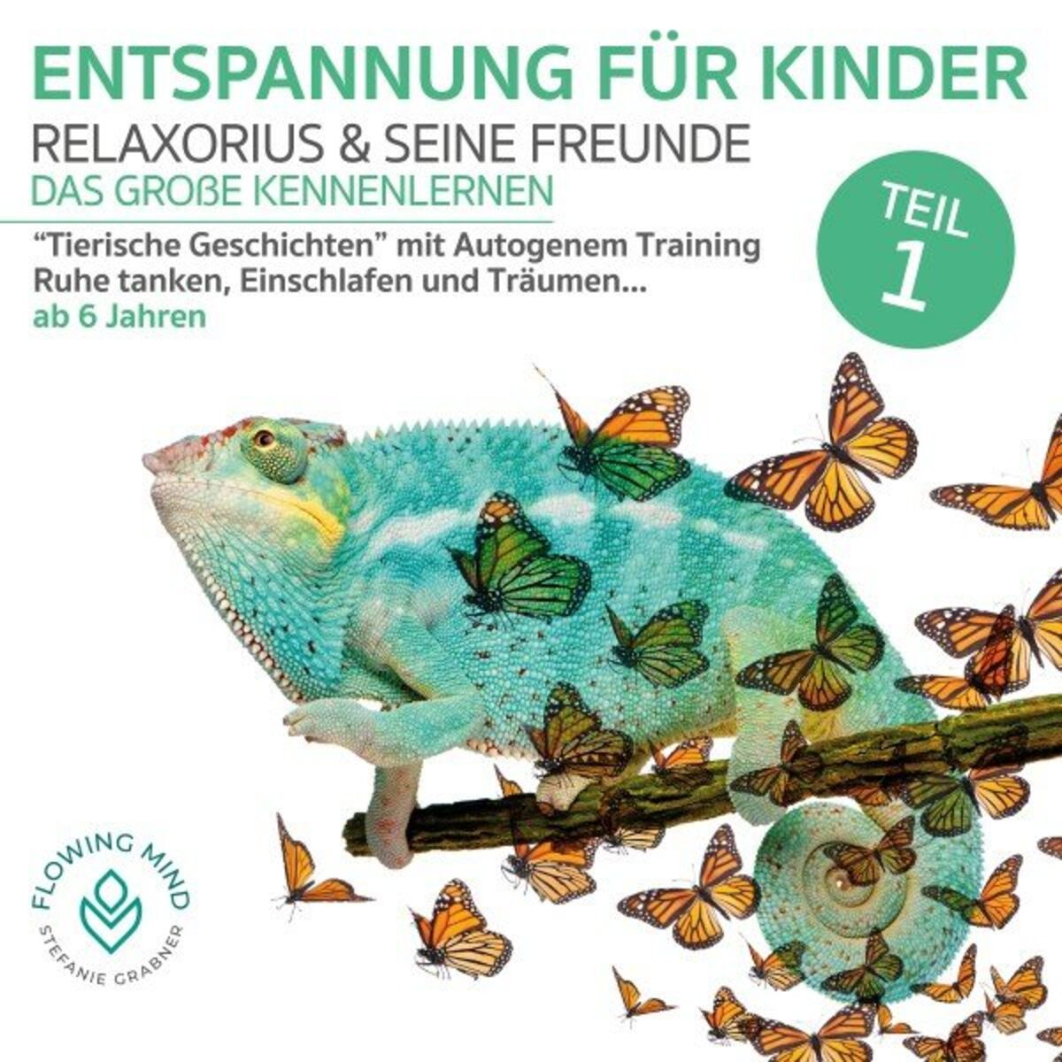 Album cover of Entspannung für Kinder - Teil 1 (Relaxorius und seine Freunde - Das große Kennenlernen)