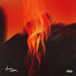 Cover of Set Me on Fire