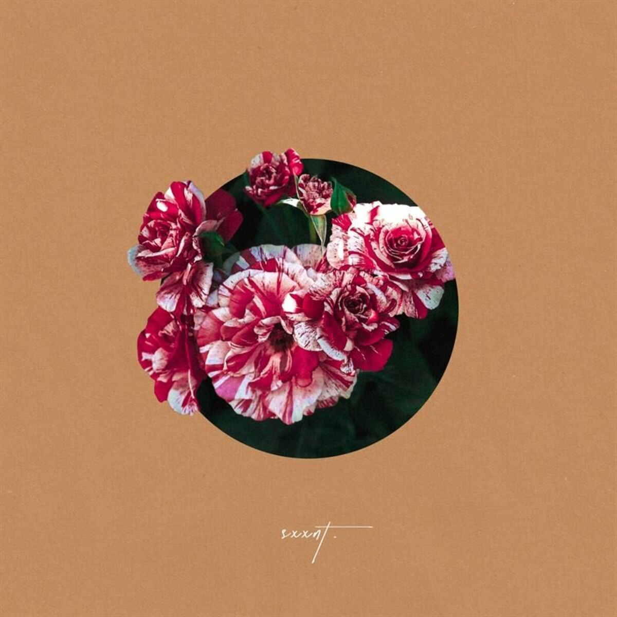 Album cover of What A Beautiful Name