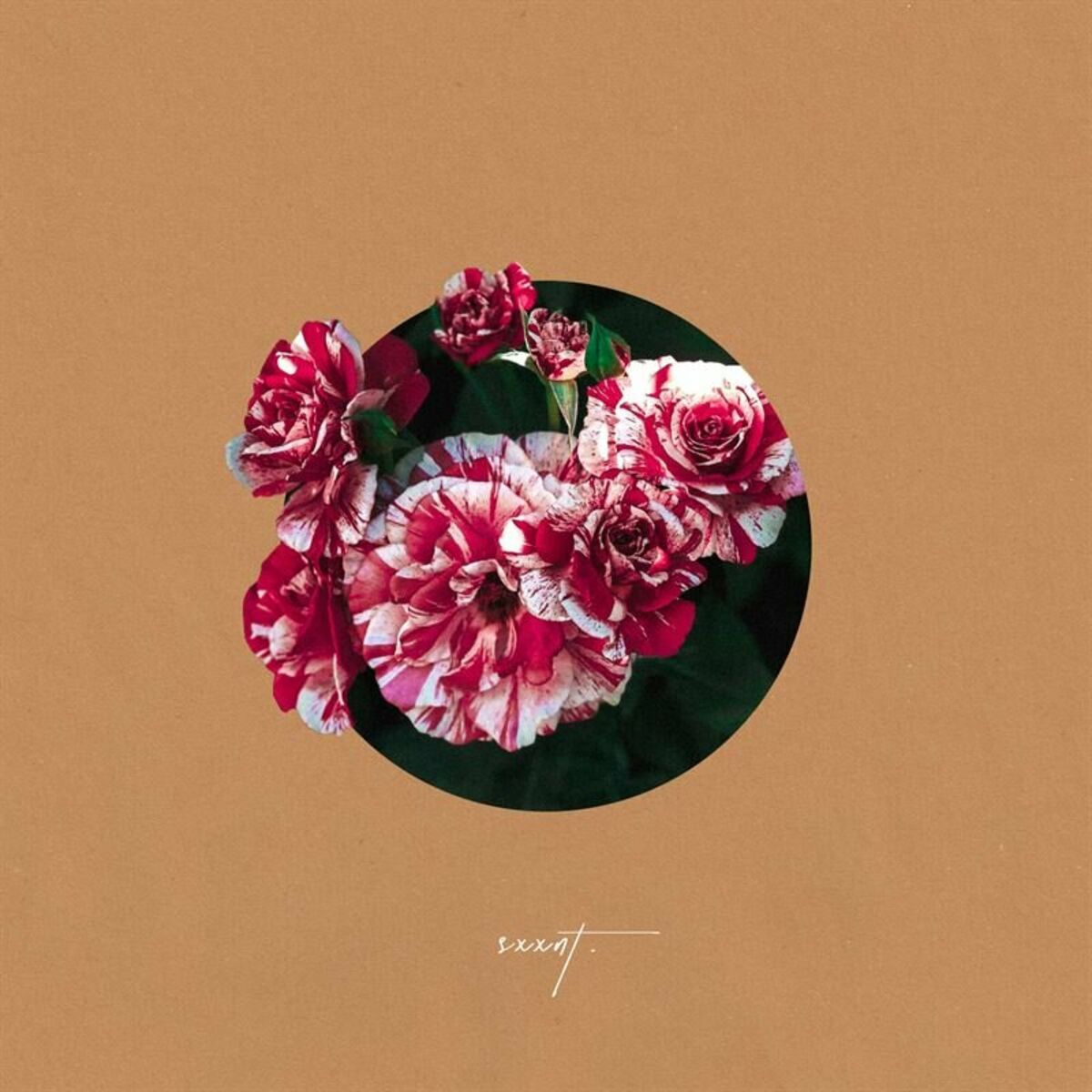 Album cover of What A Beautiful Name