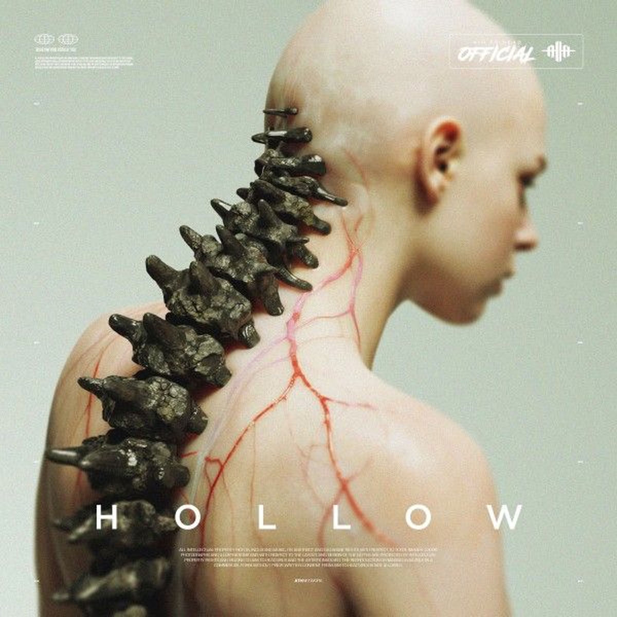 Album cover of HOLLOW