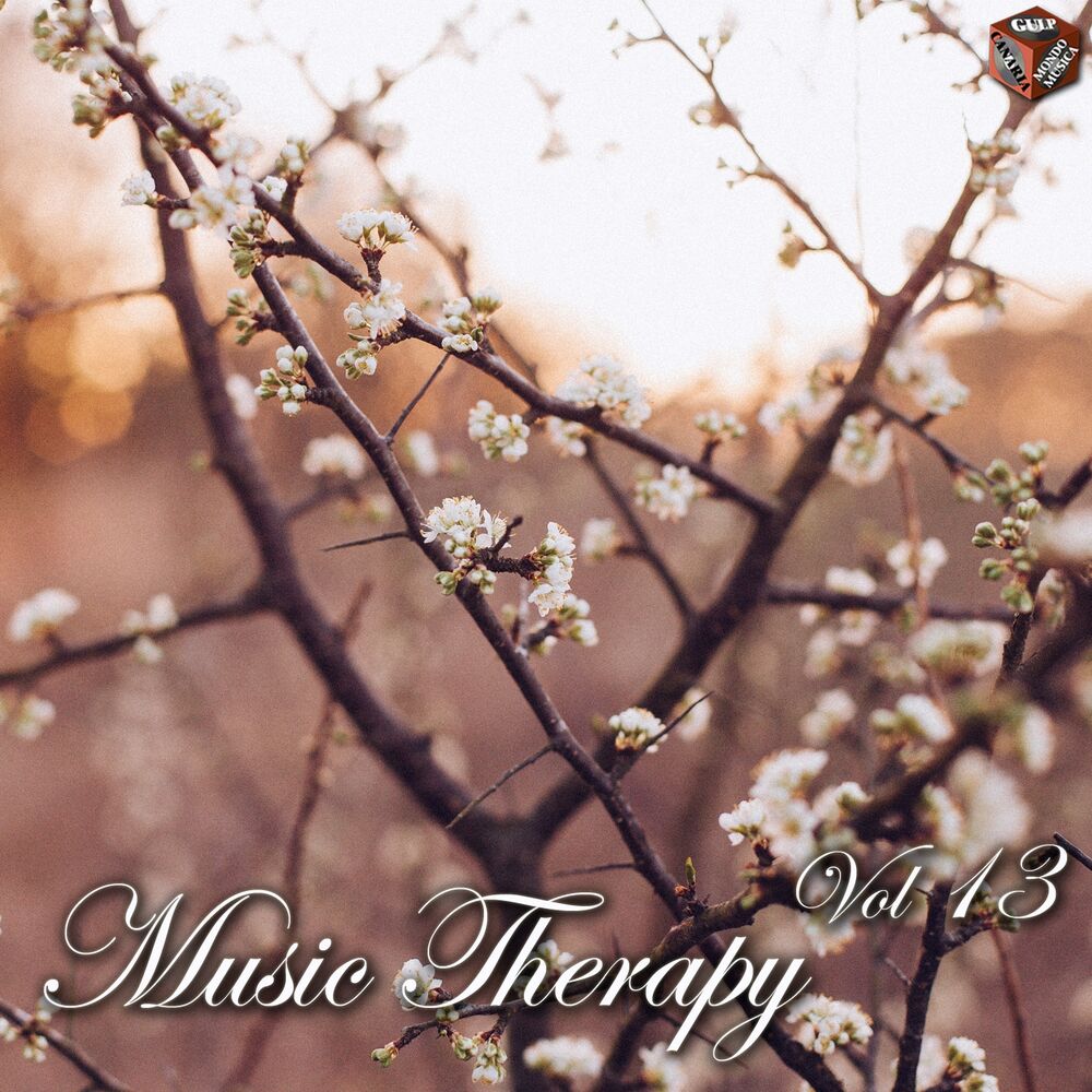 Picture of Music Therapy, Vol. 13