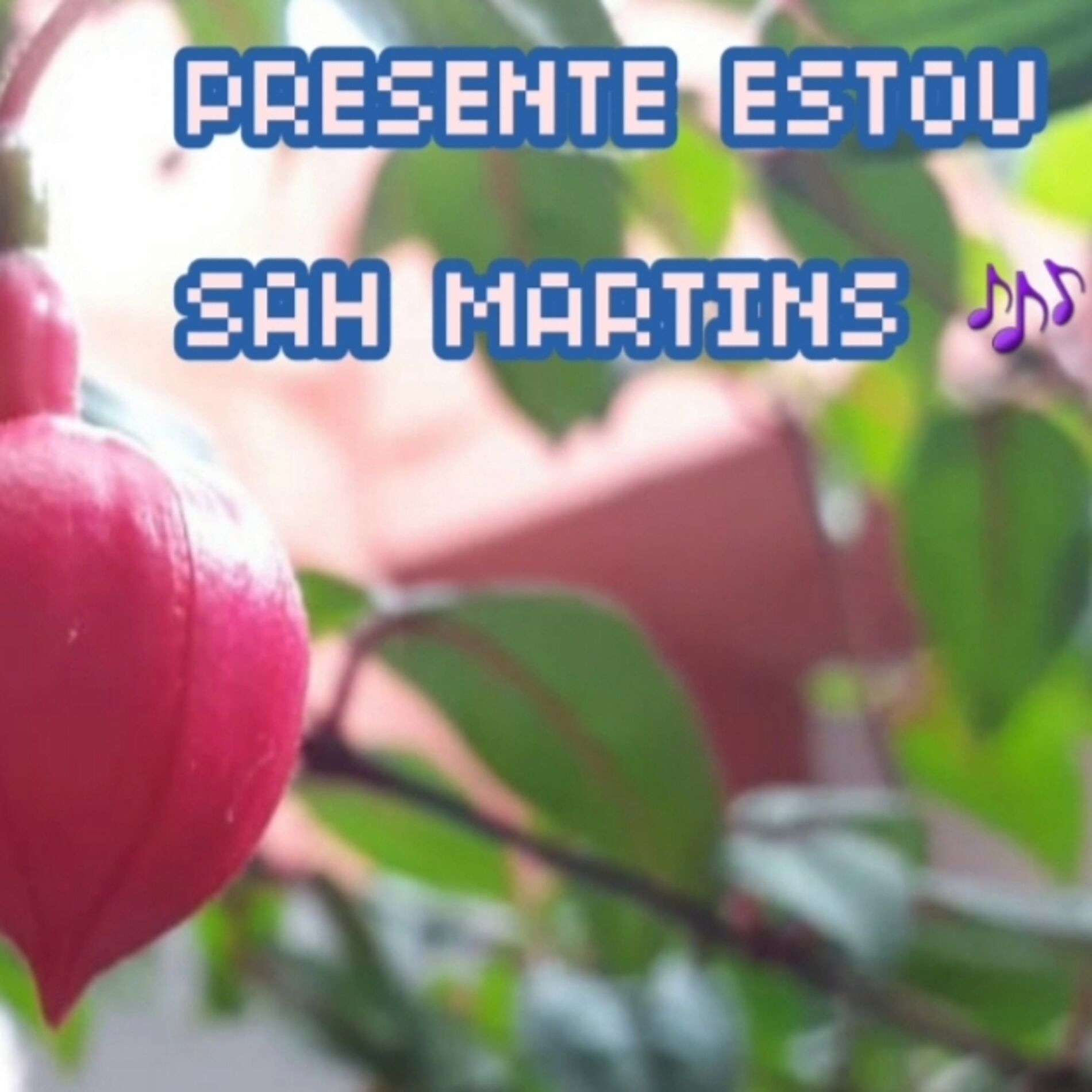 Album cover of Presente Estou