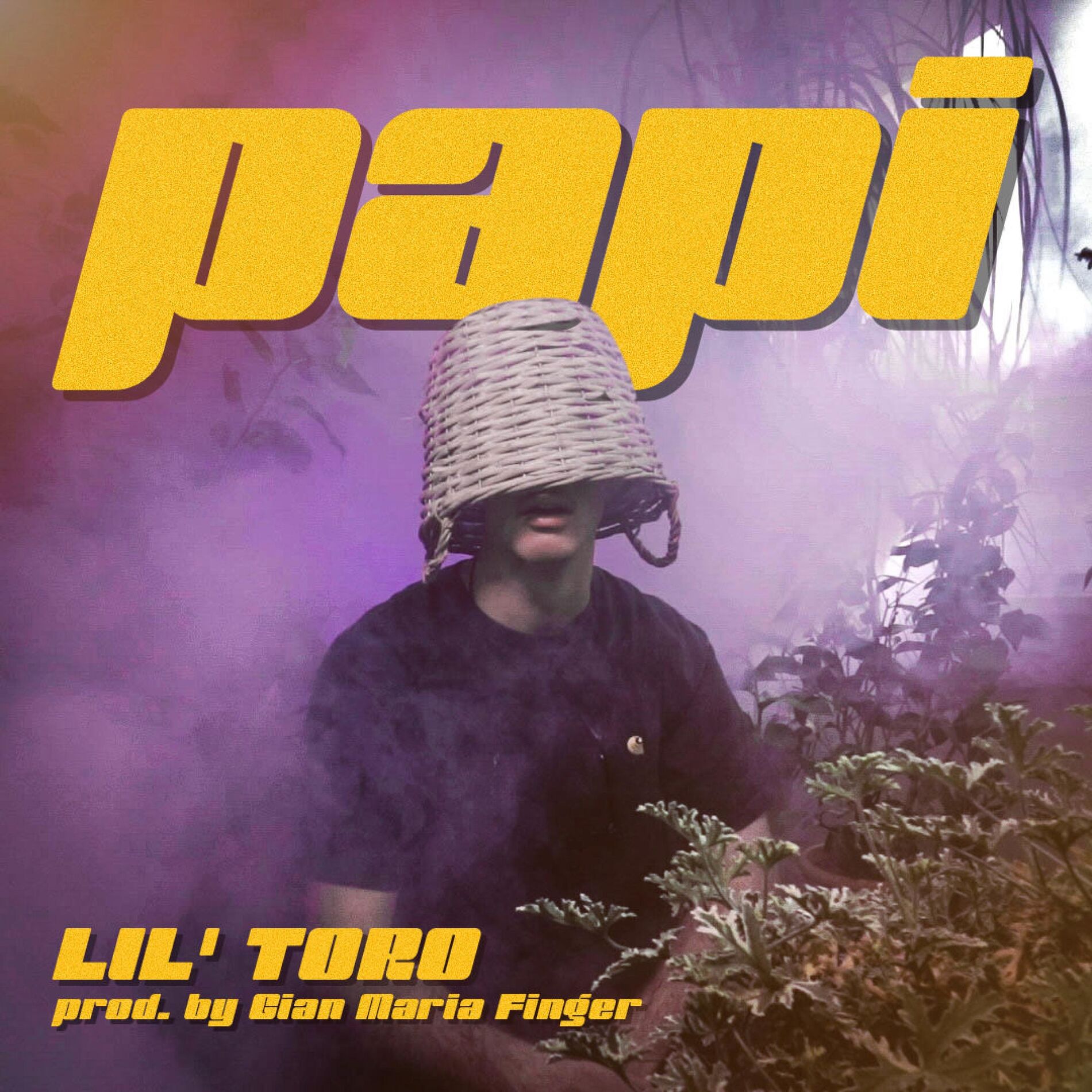Album cover of Papi