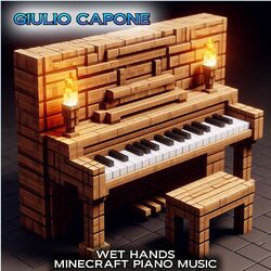 Cover of Wet hands (Minecraft Piano Music)