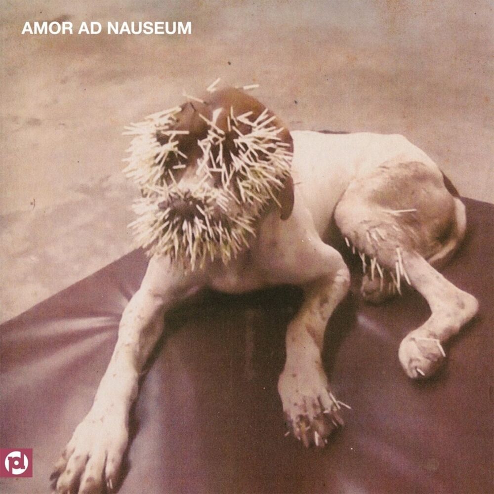 Picture of Amor Ad Nauseum