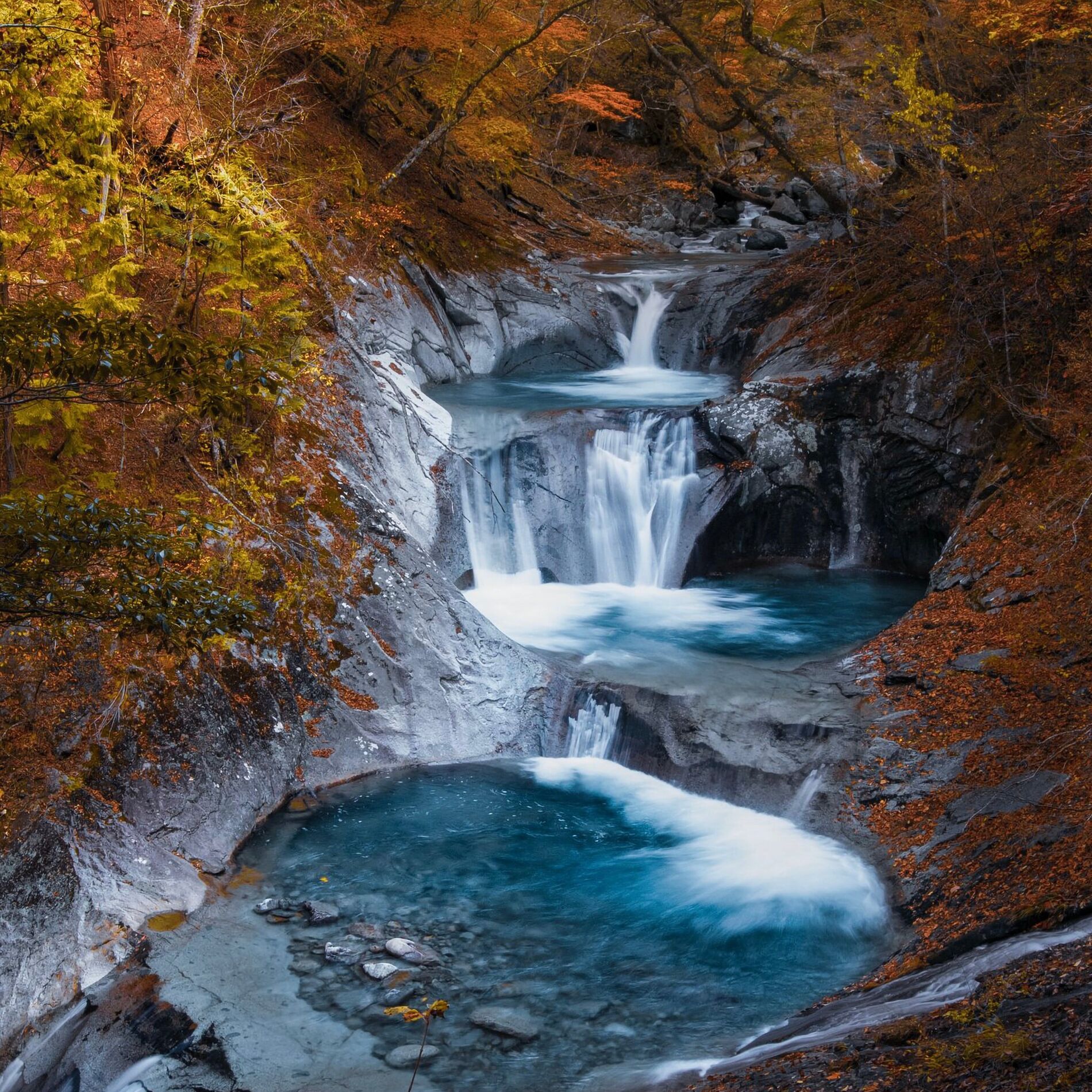 Album cover of Nature