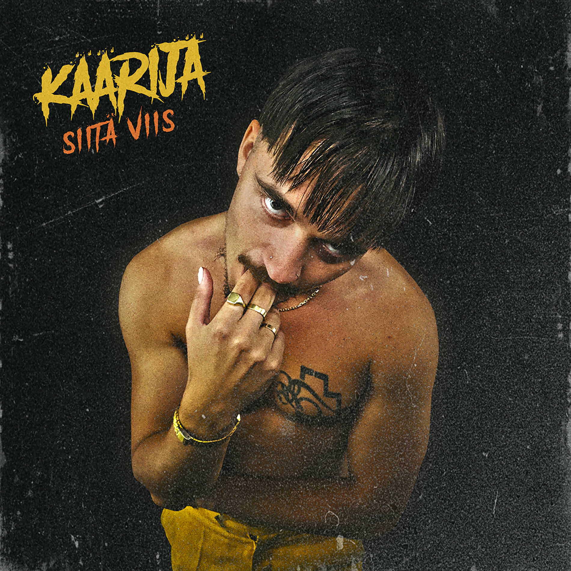Album cover of Paidaton riehuja