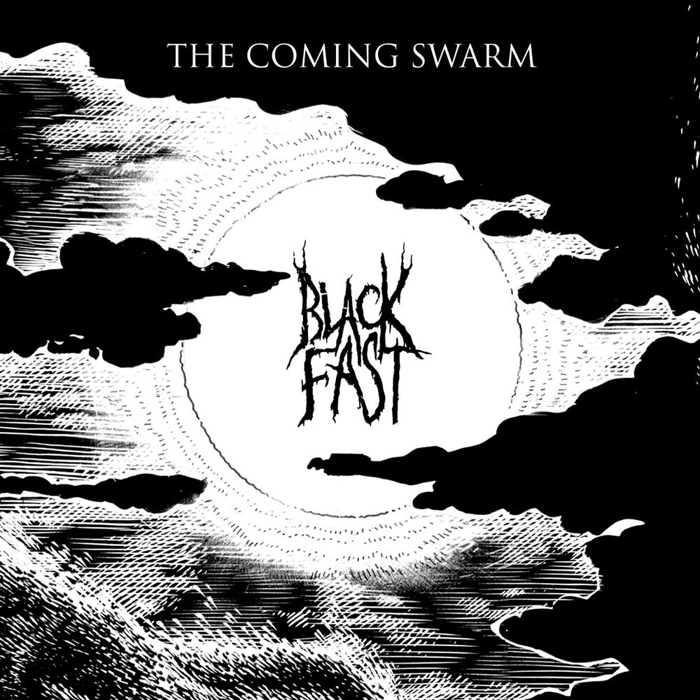 Picture of The Coming Swarm