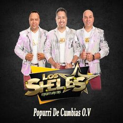Cover of Popurri De Cumbias O.V (feat. La Banda Que Hacía Falta)