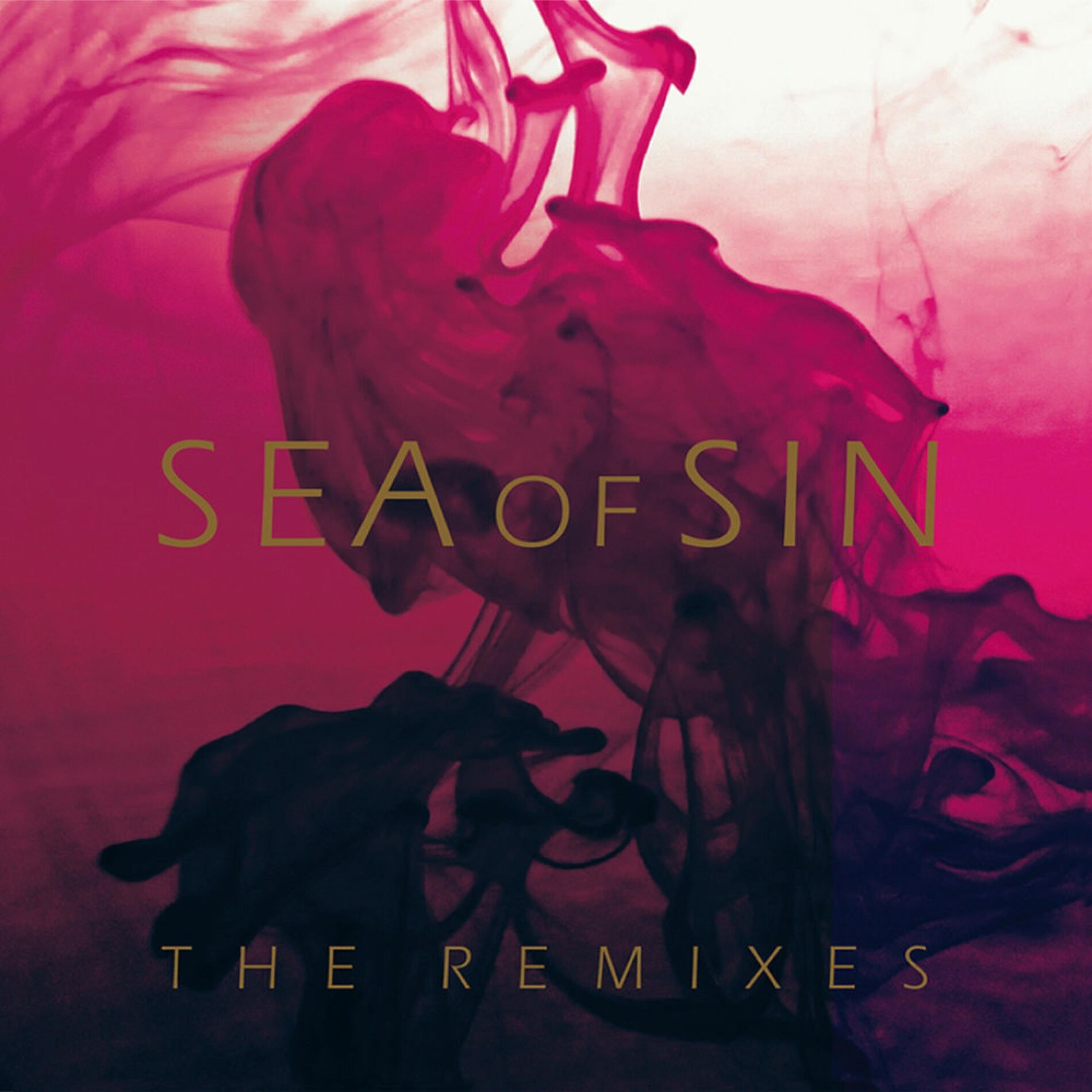 Album cover of The Remixes