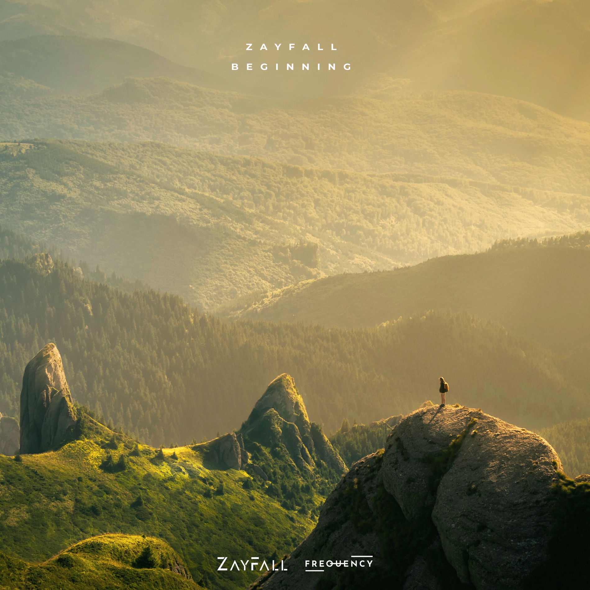 Album cover of Beginning