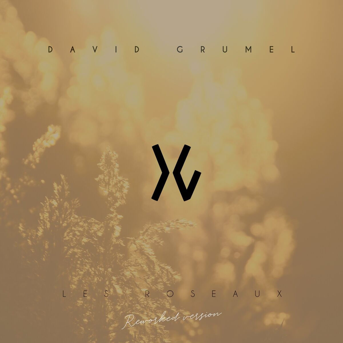 Album cover of Les Roseaux: Mouvement n°1