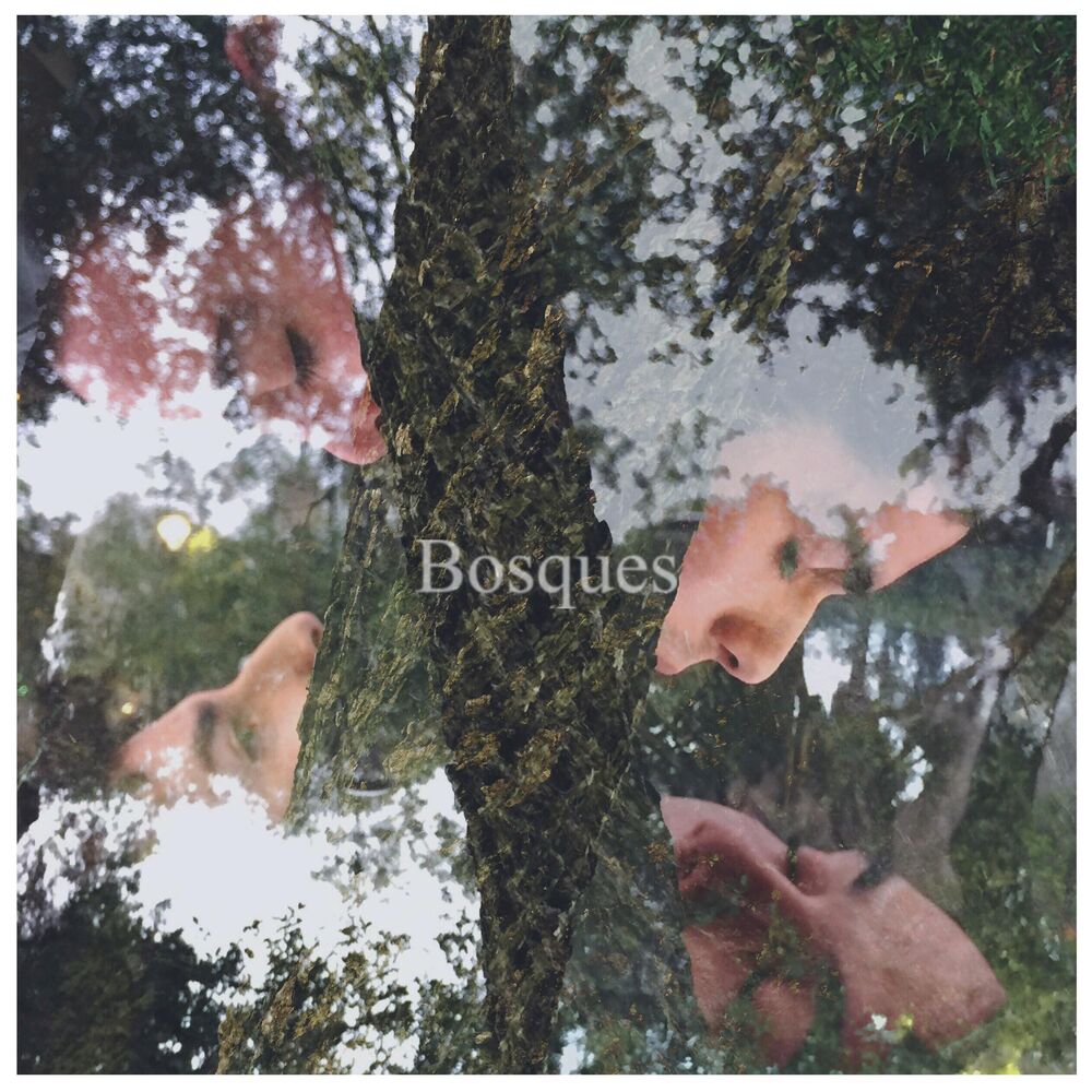 Picture of Bosques