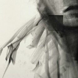 Cover of Heavens Will Fall