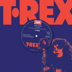 Cover of Hot Love (Alternative Version)