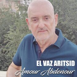 Cover of El vaz aritsid