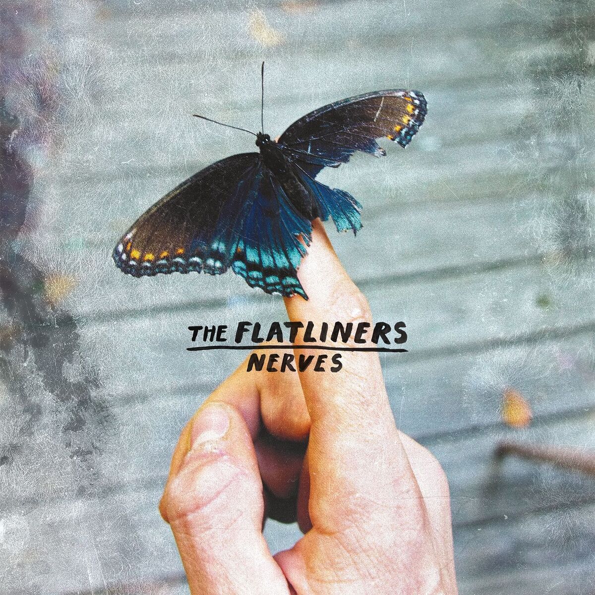 Album cover of Nerves