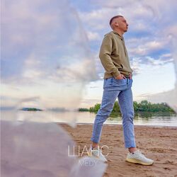 Cover of Шанс